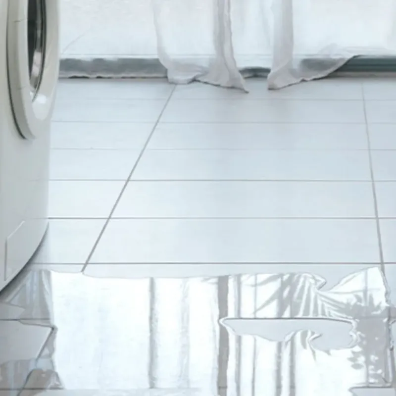 Appliance Leak Cleanup in Skippers Corner, NC