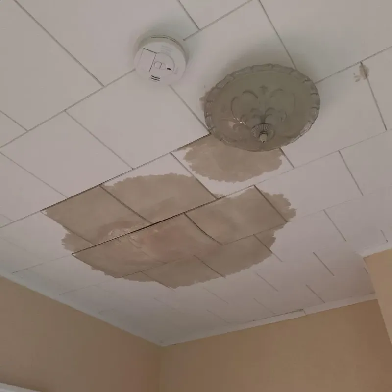 Ceiling Water Damage Repair in Skippers Corner, NC