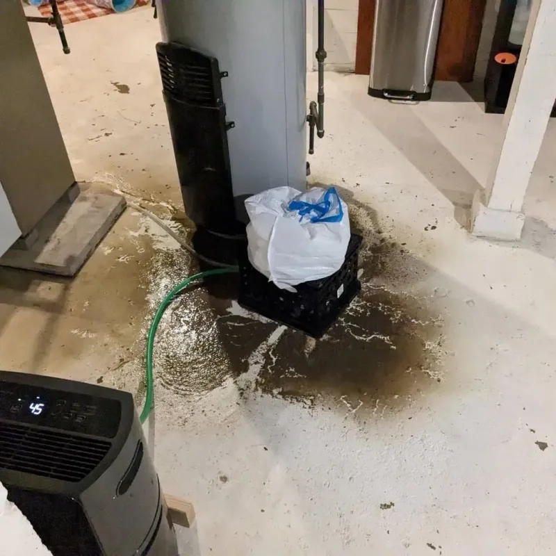Sewage Backup Cleanup Service in Skippers Corner, NC